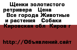 Щенки золотистого ретривера › Цена ­ 15 000 - Все города Животные и растения » Собаки   . Кировская обл.,Киров г.